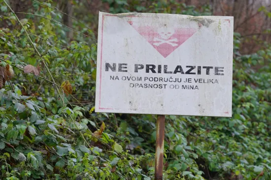Mladić (19) poginuo u minskom polju: Ušao kako bi vratio koze, pa stradao