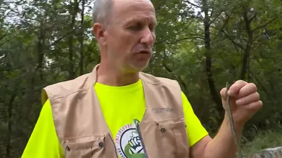 Istjerivači zmija otkrili tajne lova na neugodne goste: 'Moram se šuljati jer, osjeti me'