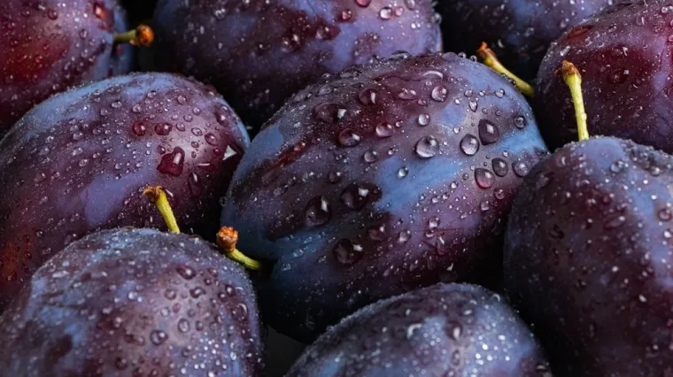 [KVIZ] Koliko znaš o ljubičastom voću, šljivama?