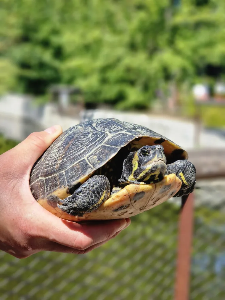 Jesen puna učenja i zabave na RTL Kockici: 'Pozivam roditelje da s djecom sjednu pred male ekrane!'