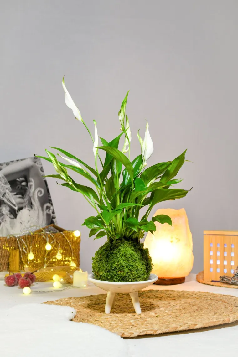 Bazar predstavlja nova imena i njihove neodoljive rukotvorine