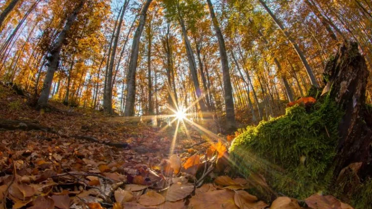 Objavljena velika prognoza za jesen u Hrvatskoj, ljubiteljima hladnijeg vremena ovo se baš neće svidjeti