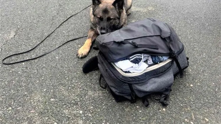 Policija u redovnoj kontroli na A6 naišla na sumnjiv ruksak u autobusu: Vlasnik odmah uhićen