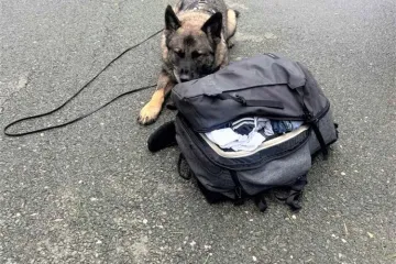 Policija u redovnoj kontroli na A6 naišla na sumnjiv ruksak u autobusu: Vlasnik odmah uhićen