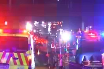 Udarile klokana na cesti, pokušale mu pomoći pa i same poginule