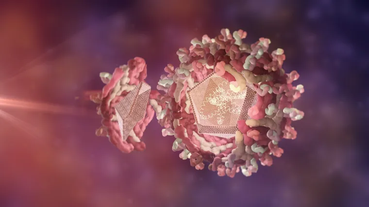 Opasan virus širi se susjedstvom: Potvrđene nove zaraze, ovo su simptomi