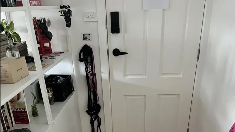 Nekima je čak trebalo pet sati da pronađu psića na ovoj fotografiji: Možete li vi biti bolji?