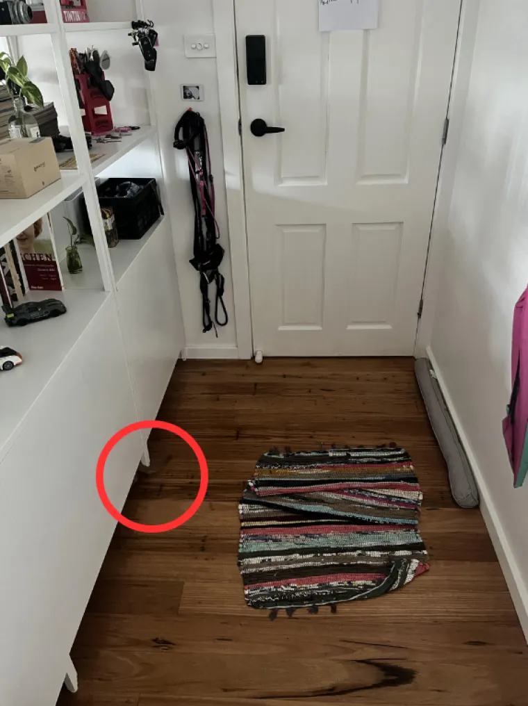 Nekima je čak trebalo pet sati da pronađu psića na ovoj fotografiji: Možete li vi biti bolji?