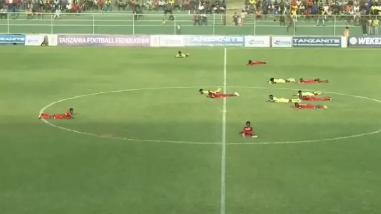 Neviđeni kaos! Pogledajte što je roj pčela napravio usred utakmice