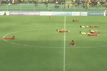 Neviđeni kaos! Pogledajte što je roj pčela napravio usred utakmice