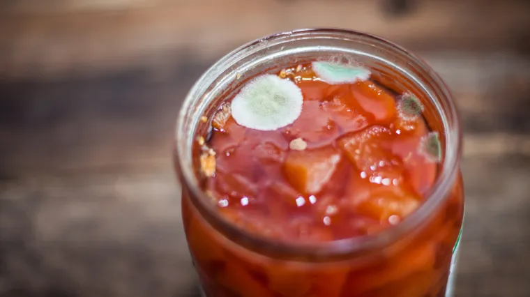 Pojavila vam se plijesan u staklenci džema? Budite oprezni, opasnije je nego što mislite