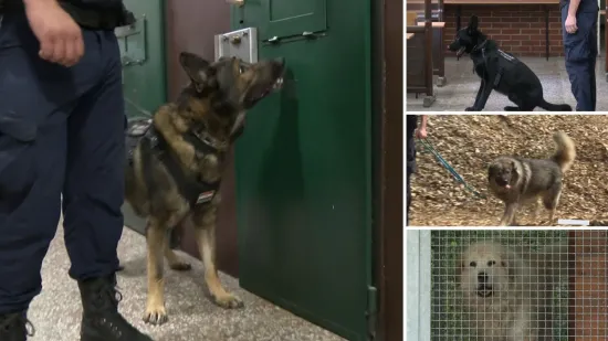 RTL Danas iza rešetaka jedne od najstrožih kaznionica u zemlji: Upoznajte Jokera, Gerryja i ostale njuške