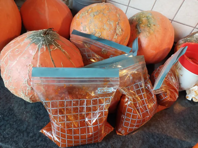 Satara&scaron; i &scaron;al&scaron;a, kraljice jeseni i provjereni recepti koje su znale i na&scaron;e bake!