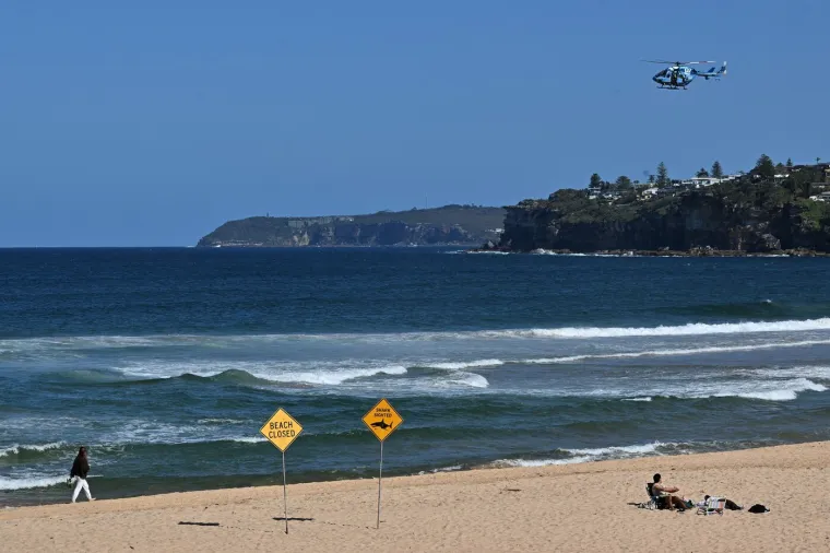 Traje potraga za morskim psom ubojicom: Osakaćeni surfer preminuo na obali, pronađena i dva dijela daske