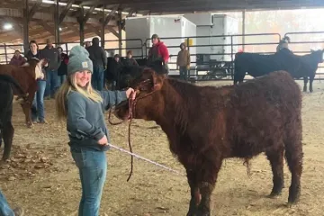 Nesretni splet okolnosti: Gađao pticu pa upucao kćer (14), preminula u bolnici