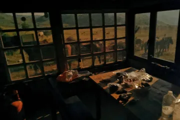 Konji cijelu noć napadali planinare iz Zagreba, ujutro ih dočekao jeziv prizor: 'Bili su poludivlji'