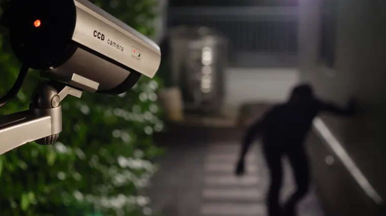 Noć iz horora: Neprekidna zvonjava na vratima, kamere prazne, a onda su otkrili tko je nepozvani gosti