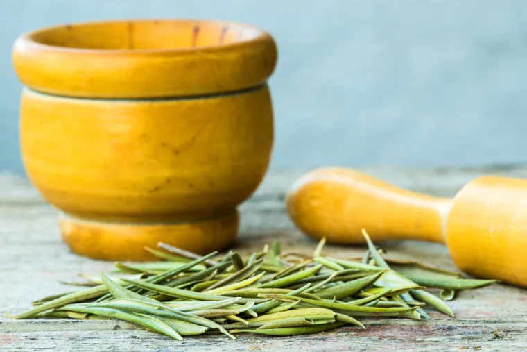 Ljekoviti napitak od lista stoljećima cijenjene biljke: Saveznik je zdravlja, ali nije za svakoga