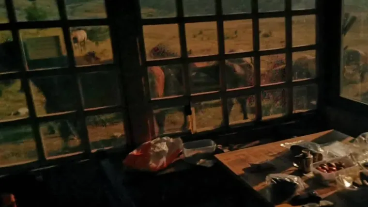 Što se kobne noći dogodilo na Dinari? Planinari tvrde da su ih napali konji i sve uništili