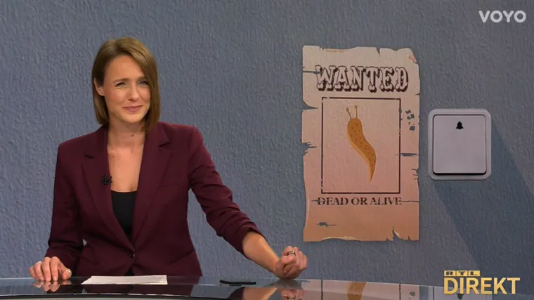 Puž zvonio stanarima, razotkrio ga slinavi trag! Policija: 'Doveli smo ga u red!'