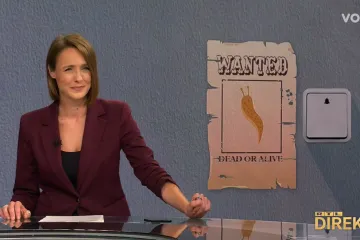 Puž zvonio stanarima, razotkrio ga slinavi trag! Policija: 'Doveli smo ga u red!'