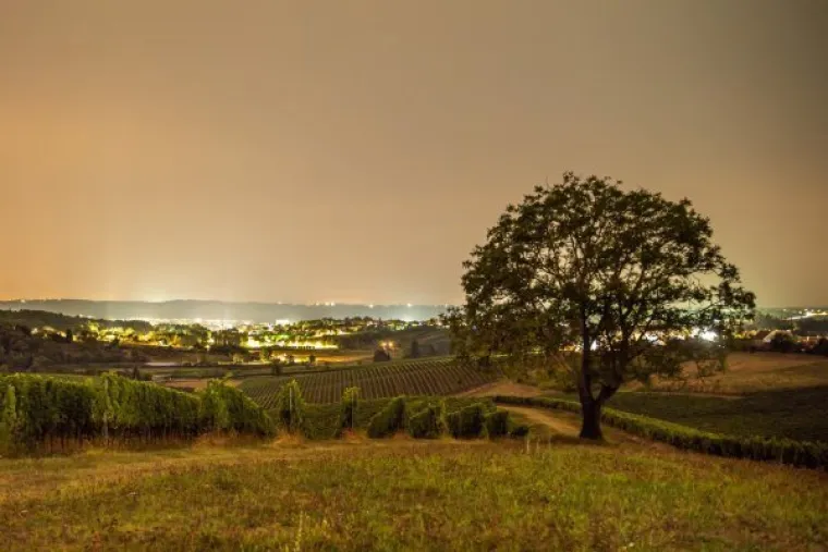 Eno-gastro raj Bjelovarsko &ndash; bilogorskog kraja