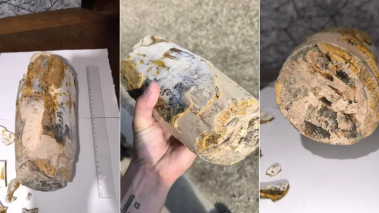 Vedran je prvo naletio na mamutov zub, sada u Dravi pronašao kljovu: 'Virio je iz šljunka'