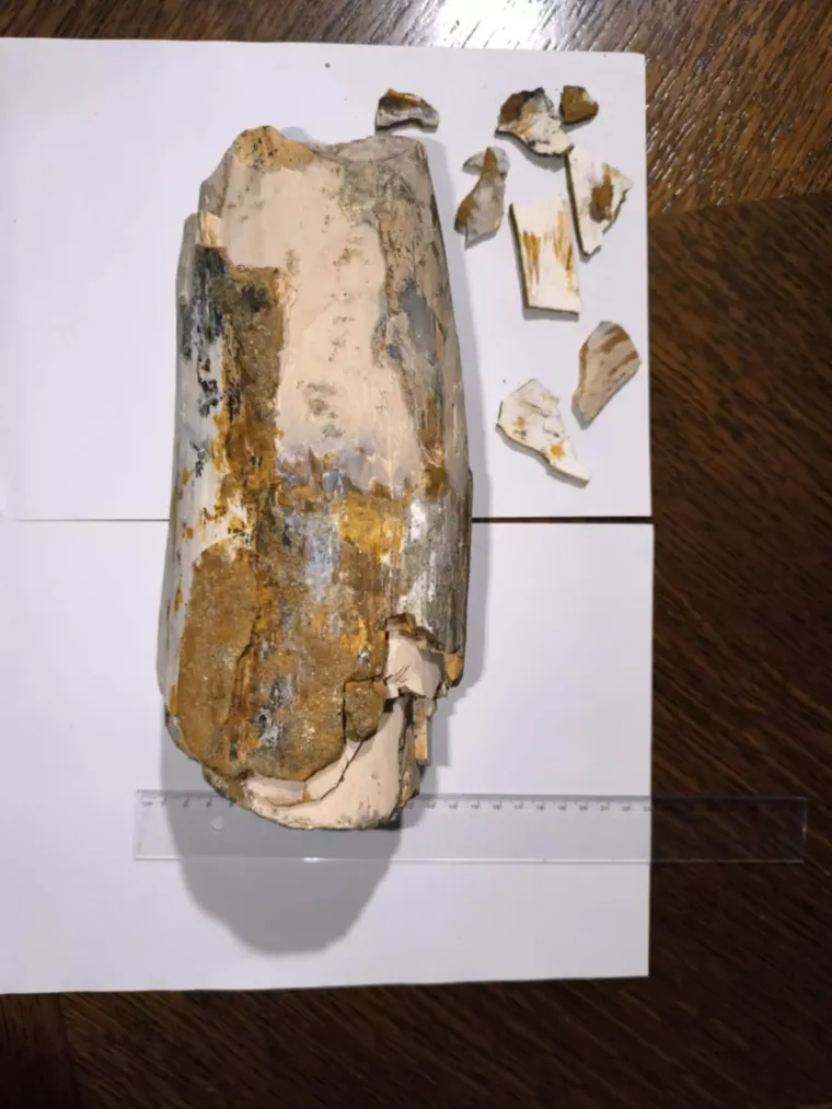 Vedran je prvo naletio na mamutov zub, sada u Dravi pronašao kljovu: 'Virio je iz šljunka'