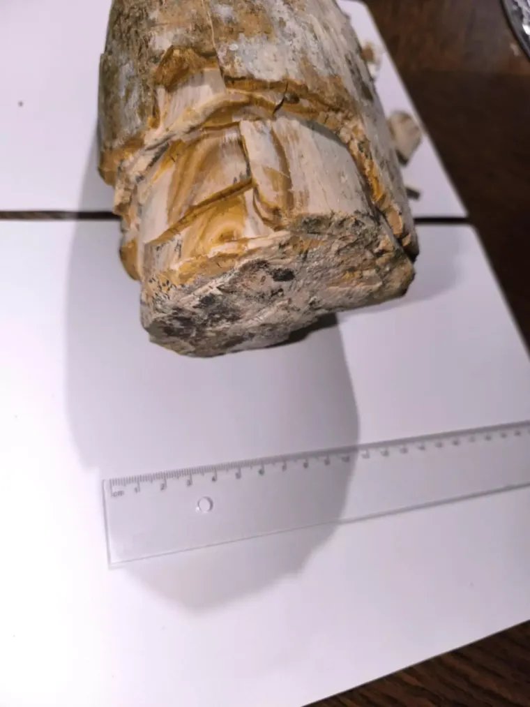 Vedran je prvo naletio na mamutov zub, sada u Dravi pronašao kljovu: 'Virio je iz šljunka'