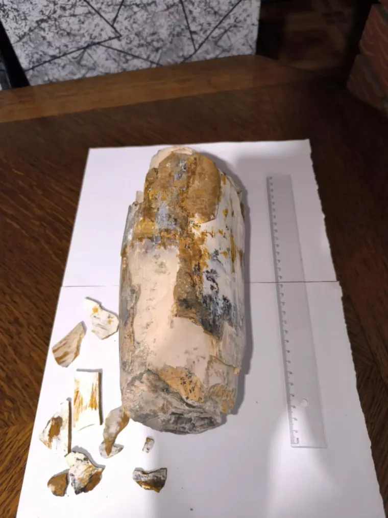 Vedran je prvo naletio na mamutov zub, sada u Dravi pronašao kljovu: 'Virio je iz šljunka'