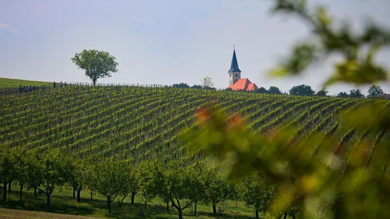 Ne morate putovati do Toskane: Idilični prizori kao iz romana kriju se u našem susjedstvu