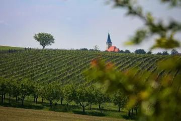 Ne morate putovati do Toskane: Idilični prizori kao iz romana kriju se u našem susjedstvu