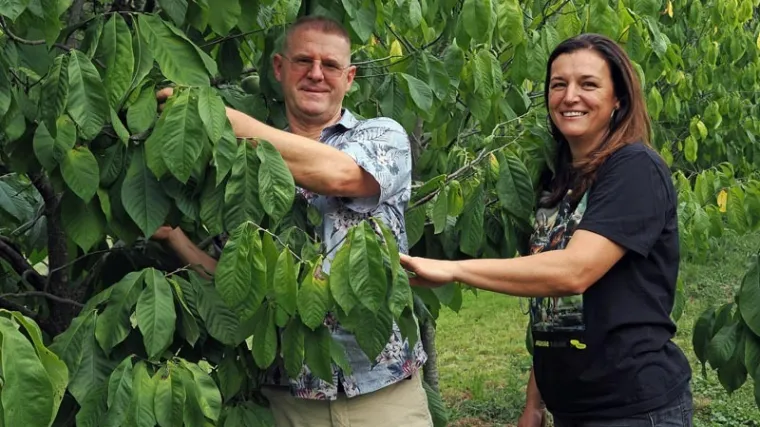 Sve je spremno za Šesti festival indijanskih banana u Gornjoj Bistri 12.i 13. rujna