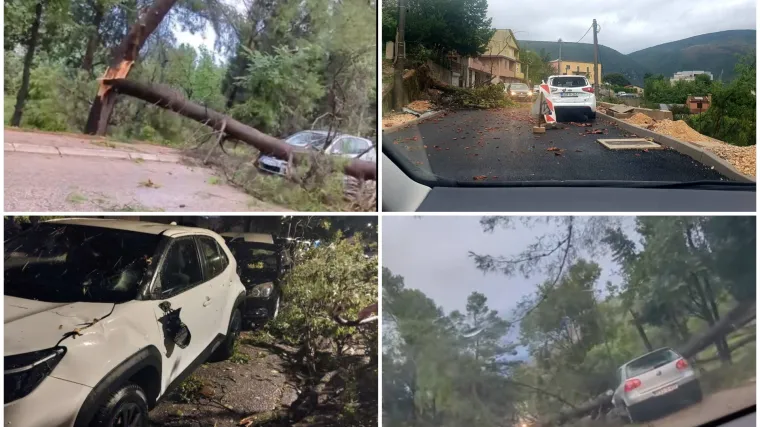 Zastrašujuća oluja pogodila Mostar, stabla pucala kao šibice! 'Ne pamtim ovo u životu, a taj zvuk...'