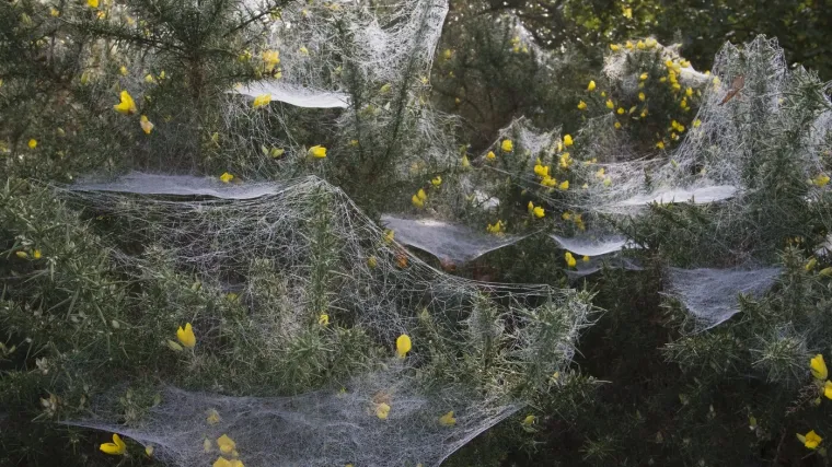 Jedna od najvećih misterija prirode događa se upravo sada: Evo zašto dolazi do ove zagonetne pojave
