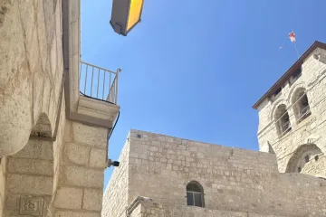 Čak 99% ljudi ovdje nije moglo pronaći mačku: Ako vi uspijete, imate oči sokolove