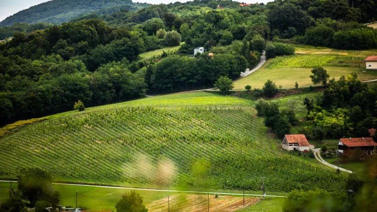 [KVIZ] Samo će pravi genijalci znati jesu li ovi izrazi slavonski ili zagorski?
