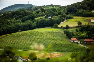 [KVIZ] Samo će pravi genijalci znati jesu li ovi izrazi slavonski ili zagorski?