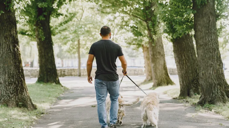Izgradite jednostavnije uspješnu karijeru: Ove poslove možete pokrenuti iz udobnosti svog doma