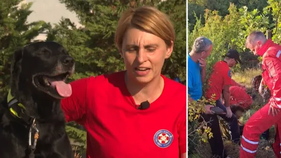 Tri dana pakla: lutala gladna i žedna, dok nisu stigli HGSS i Bongo!