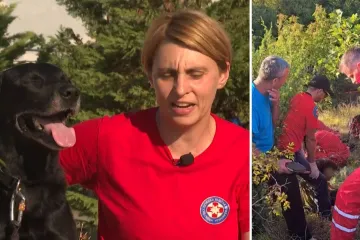 Tri dana pakla: lutala gladna i žedna, dok nisu stigli HGSS i Bongo!