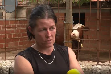 Zbog straha od vukova ne puštaju stoku iz staje: 'Vuk mi je doša iza leđa'