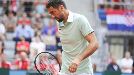 Čilić nas nije uspio vratiti: Hrvatska ipak poražena od Francuske