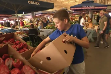 Upoznajte Franka (12): Ustaje u 6 ujutro, pomaže ocu, a kusur ostavi sebi za sladoled