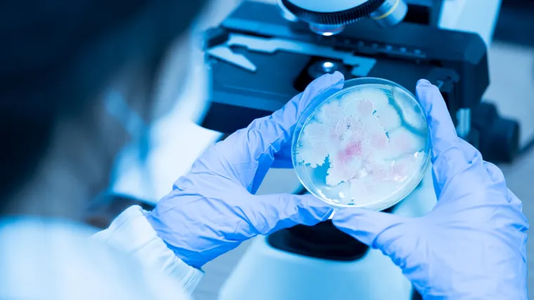 Europske bolnice na udaru gljivice otporne na većinu lijekova: Stručnjaci pozvali na hitne mjere