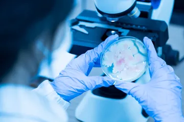 Europske bolnice na udaru gljivice otporne na većinu lijekova: Stručnjaci pozvali na hitne mjere