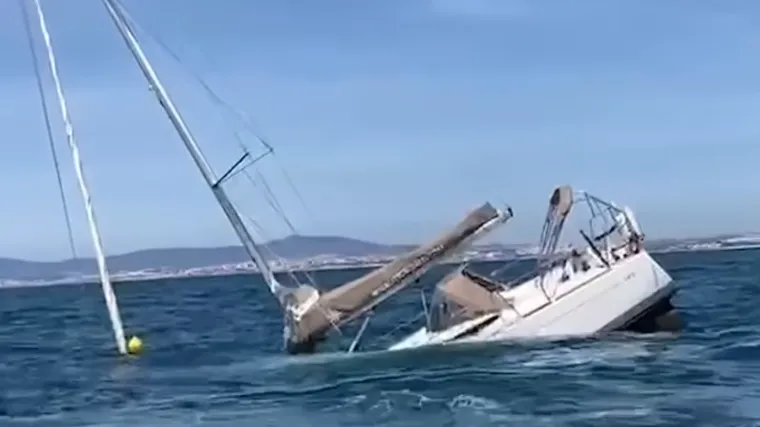 Kitovi ubojice potopili jedrilicu, a uznemirili su i turistički brod: Pojavila se snimka