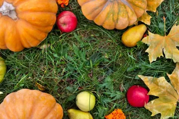 [KVIZ] Samo će pravi znalci prepoznati sve jesenske plodove