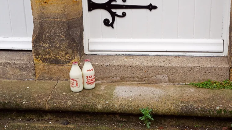 Pronaći zmiju ispred kućnog praga mnogima je bio pravi zalogaj: Ako vi uspijete, imate savršen vid