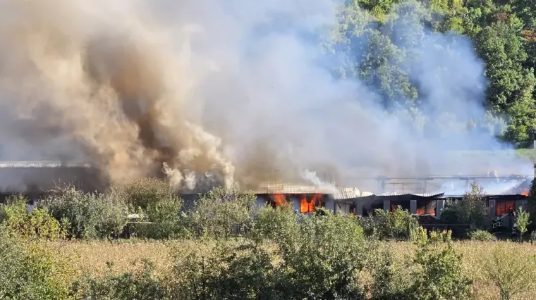 Lokalizirana golema buktinja u tvornici kraj Pleternice! Šteta je ogromna, vatra progutala strojeve